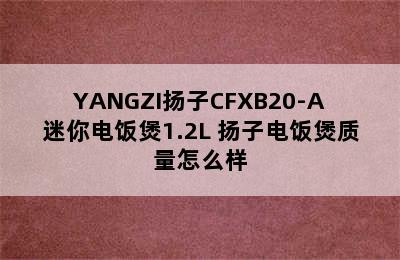 YANGZI扬子CFXB20-A迷你电饭煲1.2L 扬子电饭煲质量怎么样